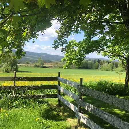 Historic In Idyllic Snertingdal Segard